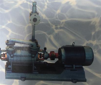 2SK-P1系列两级水泵